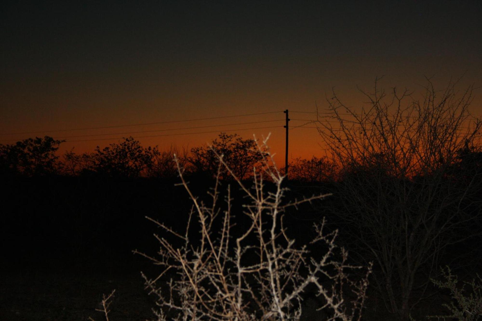 Normann Safari Bush Lodge Phalaborwa Eksteriør billede