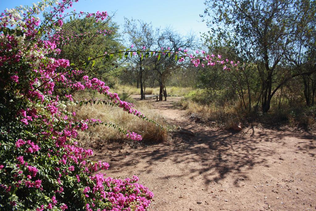 Normann Safari Bush Lodge Phalaborwa Eksteriør billede